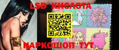a pvp Краснокаменск