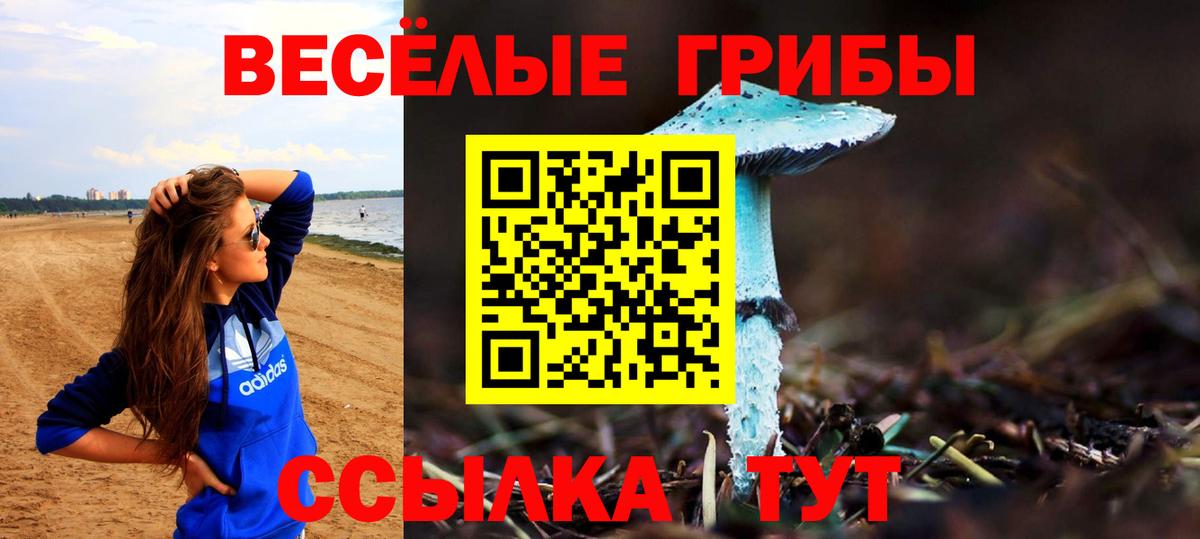 Псилоцибиновые грибы ЛСД Волжск
